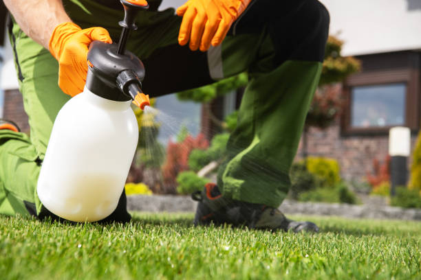 Seasonal Pest Control in Divernon, IL